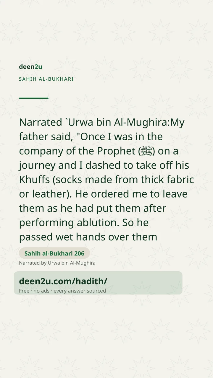 Sahih al-Bukhari 206
