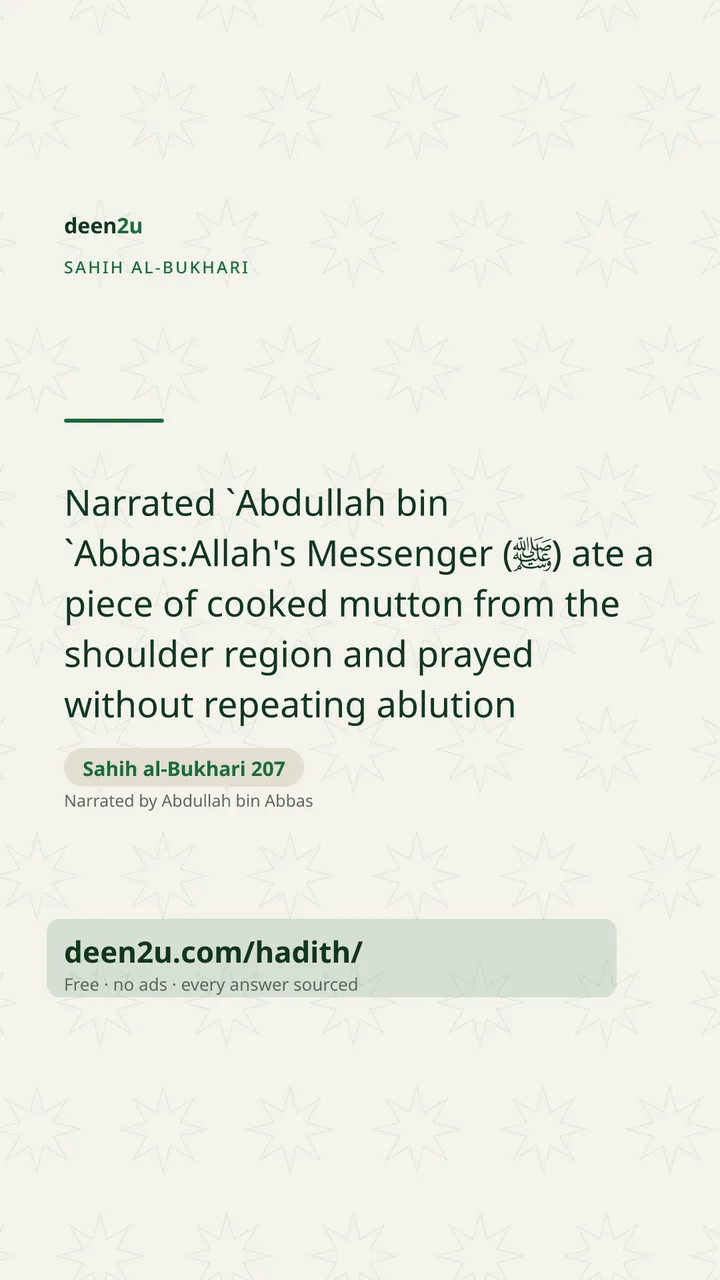 Sahih al-Bukhari 207