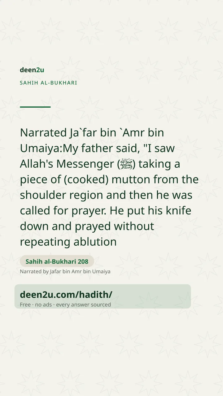 Sahih al-Bukhari 208
