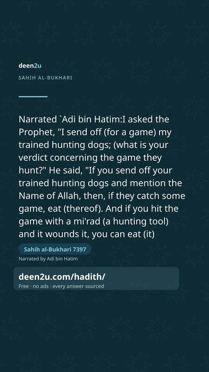 Sahih al-Bukhari 7397