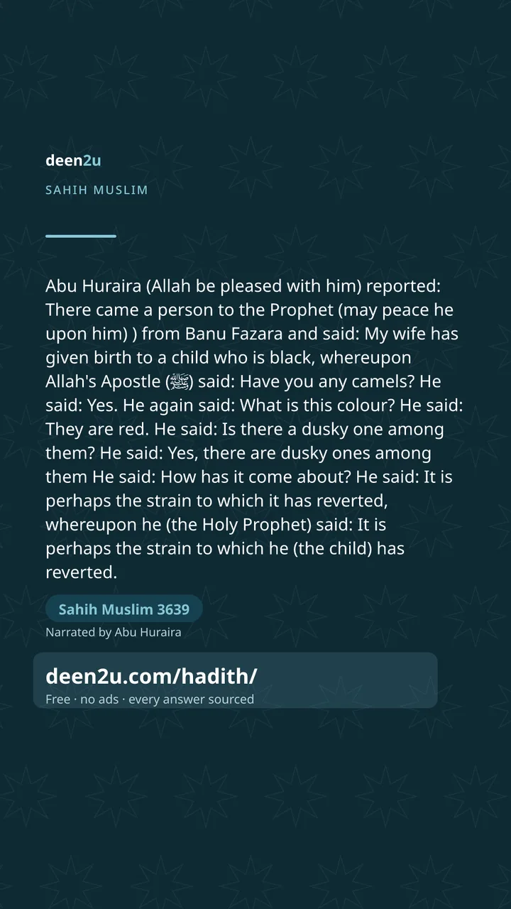 Sahih Muslim 3639