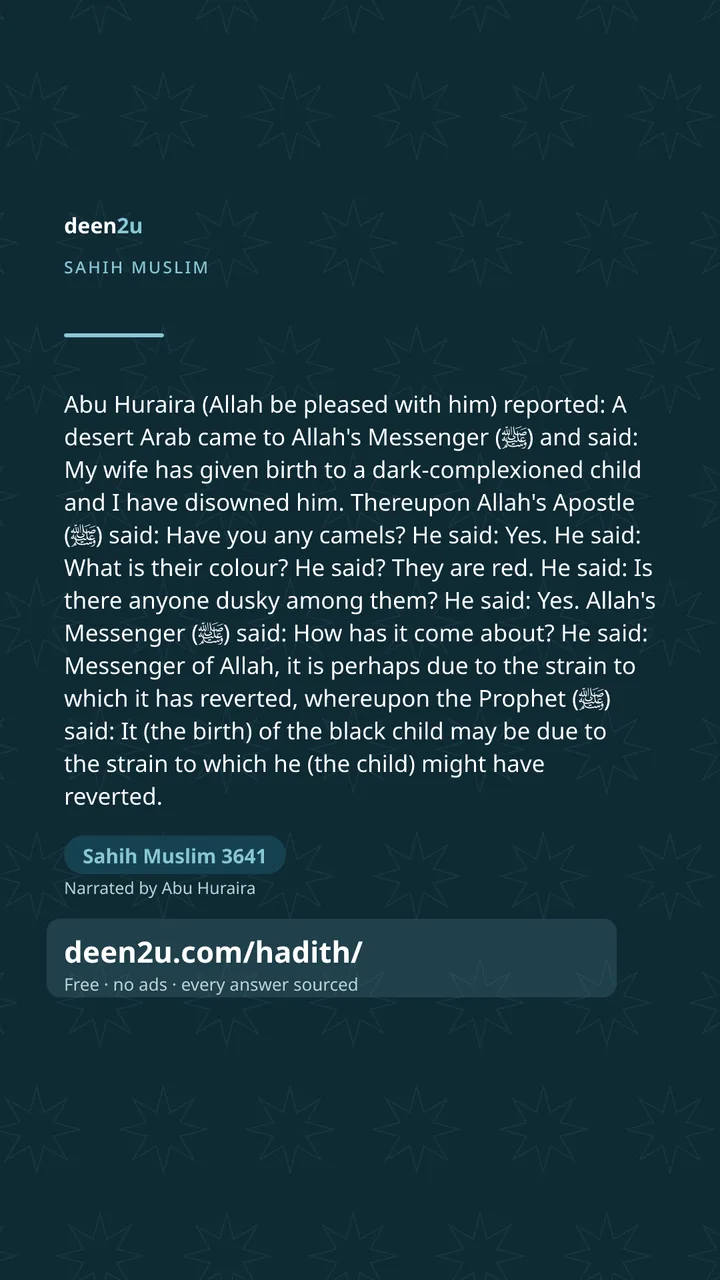 Sahih Muslim 3641