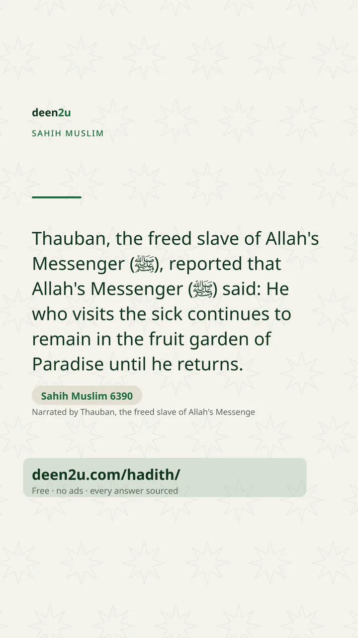 Sahih Muslim 6390