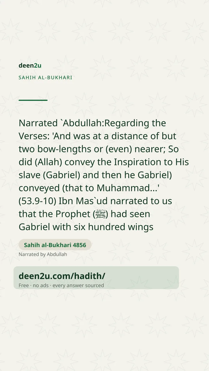 Sahih al-Bukhari 4856