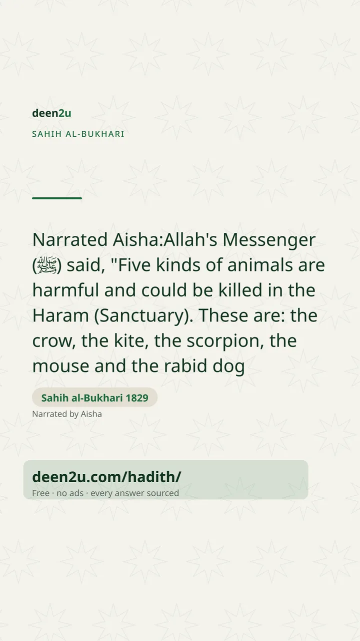 Sahih al-Bukhari 1829