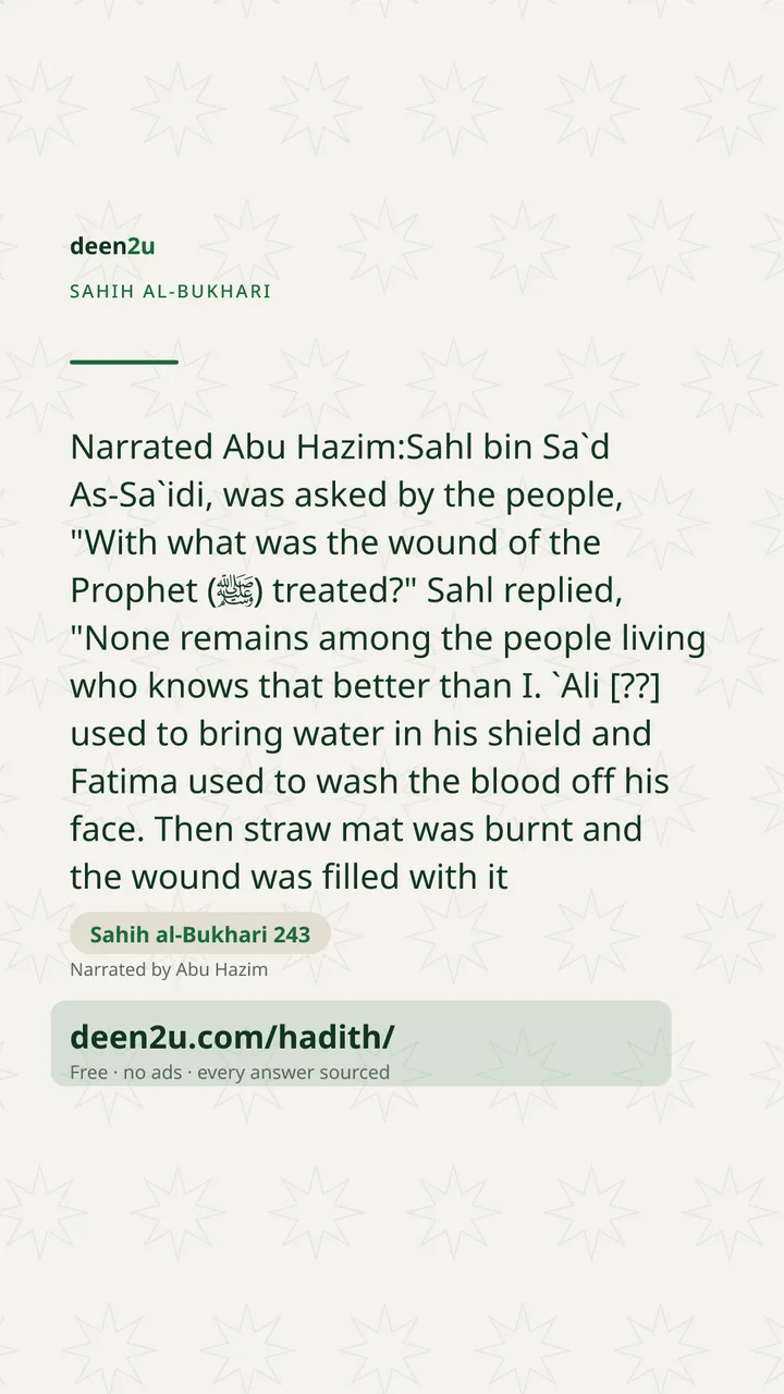 Sahih al-Bukhari 243