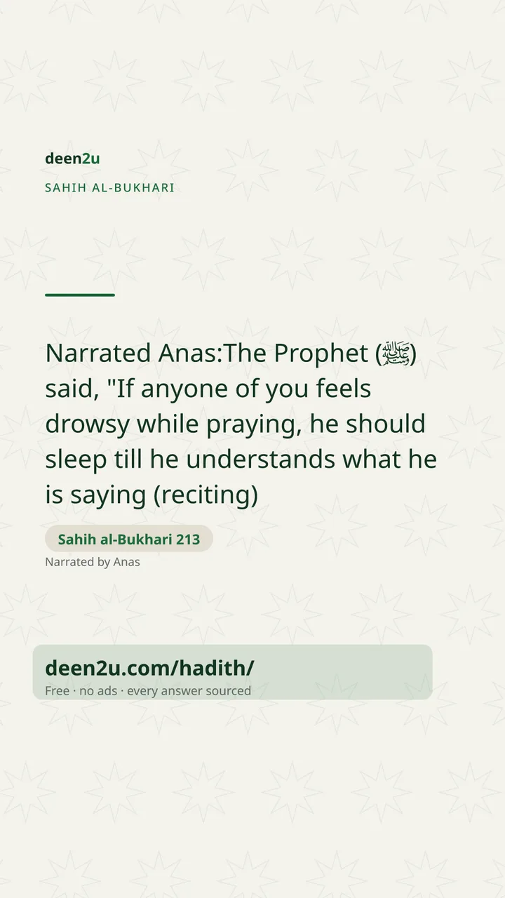Sahih al-Bukhari 213