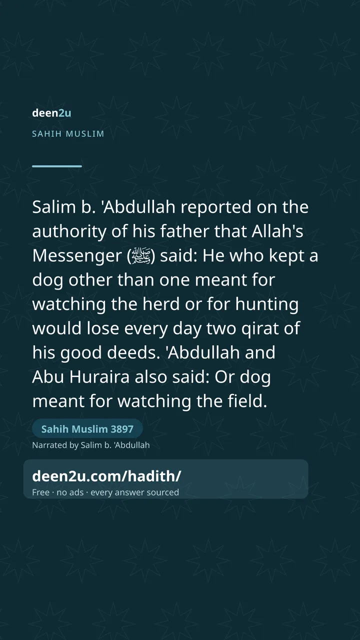 Sahih Muslim 3897