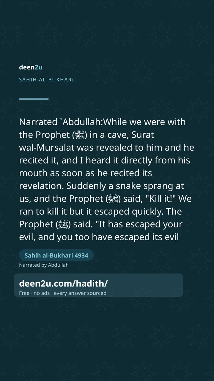 Sahih al-Bukhari 4934