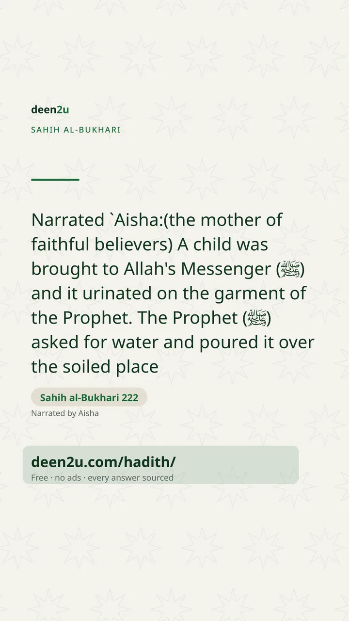 Sahih al-Bukhari 222