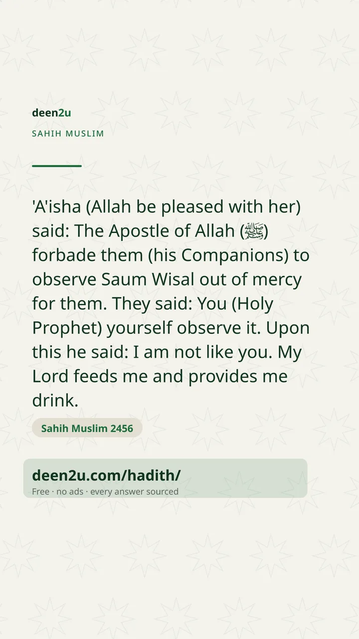 Sahih Muslim 2456