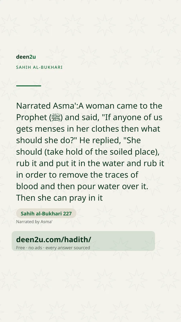 Sahih al-Bukhari 227