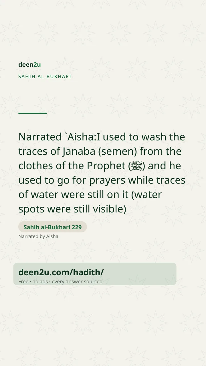 Sahih al-Bukhari 229