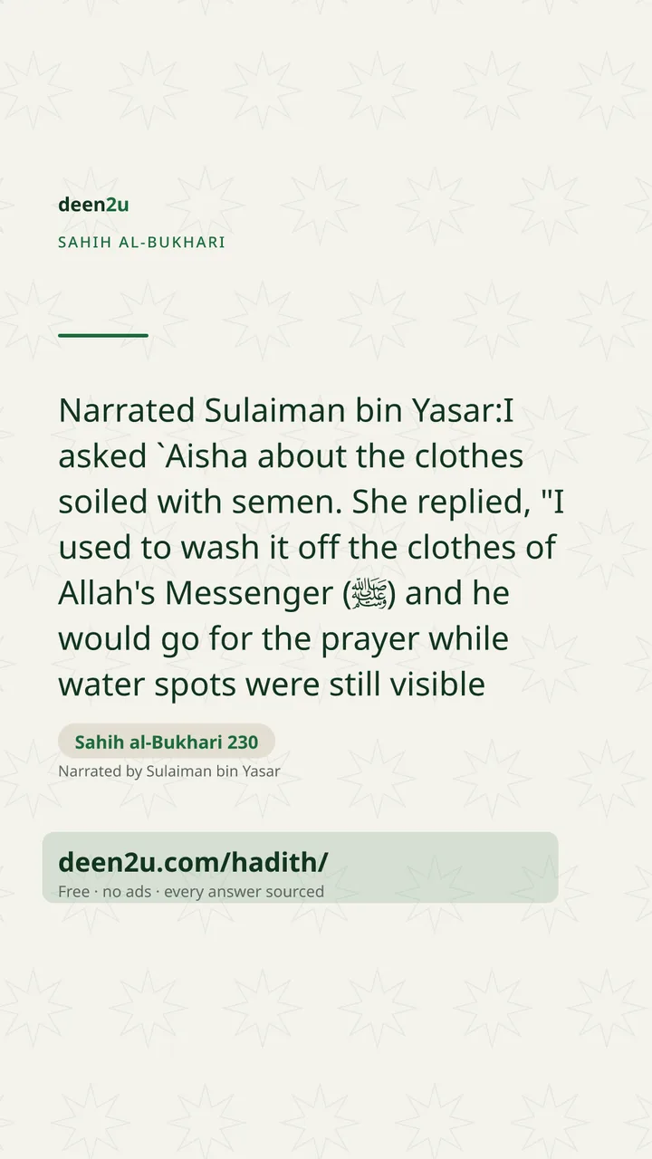 Sahih al-Bukhari 230
