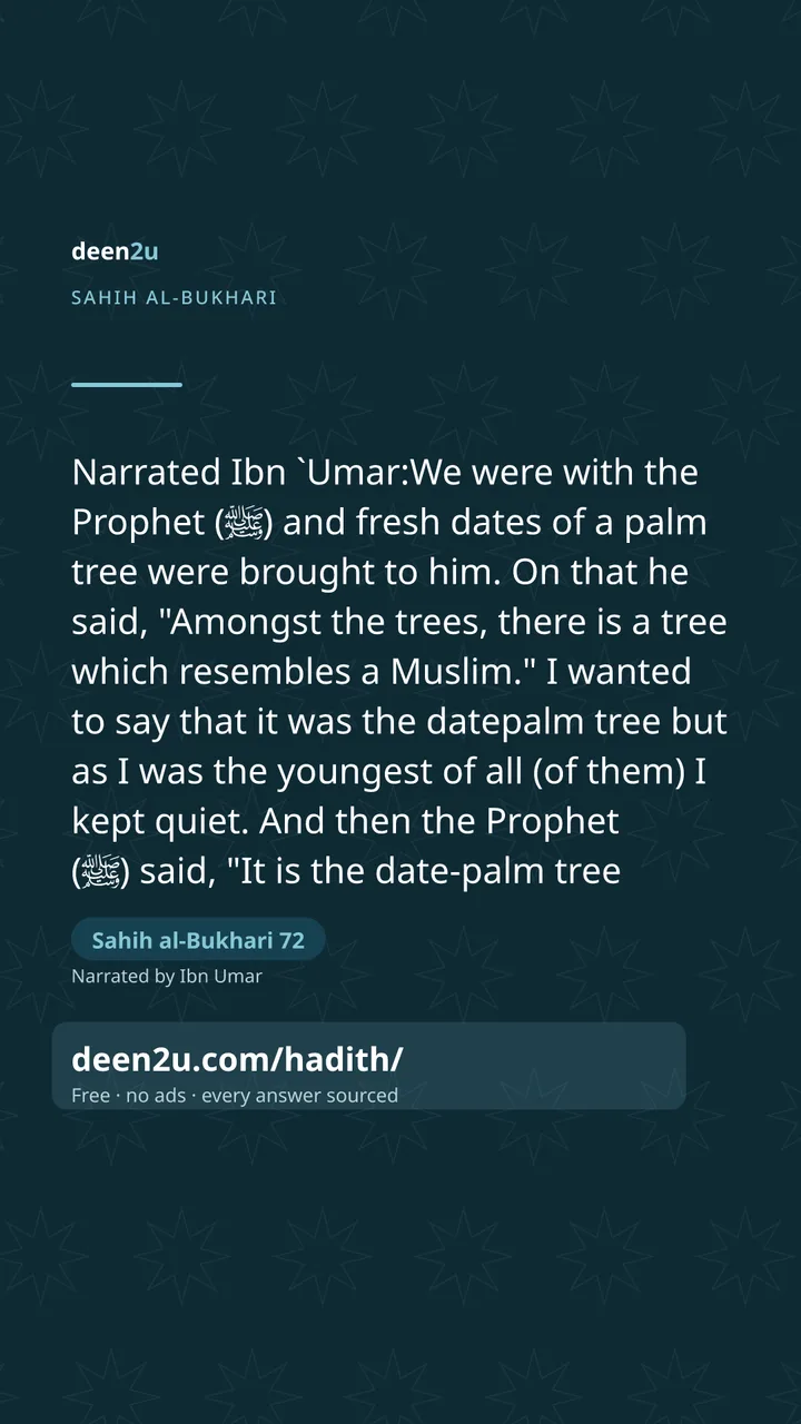 Sahih al-Bukhari 72