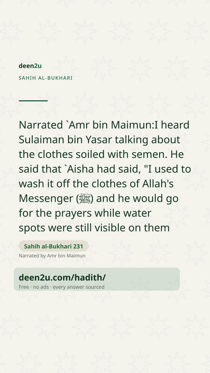 Sahih al-Bukhari 231