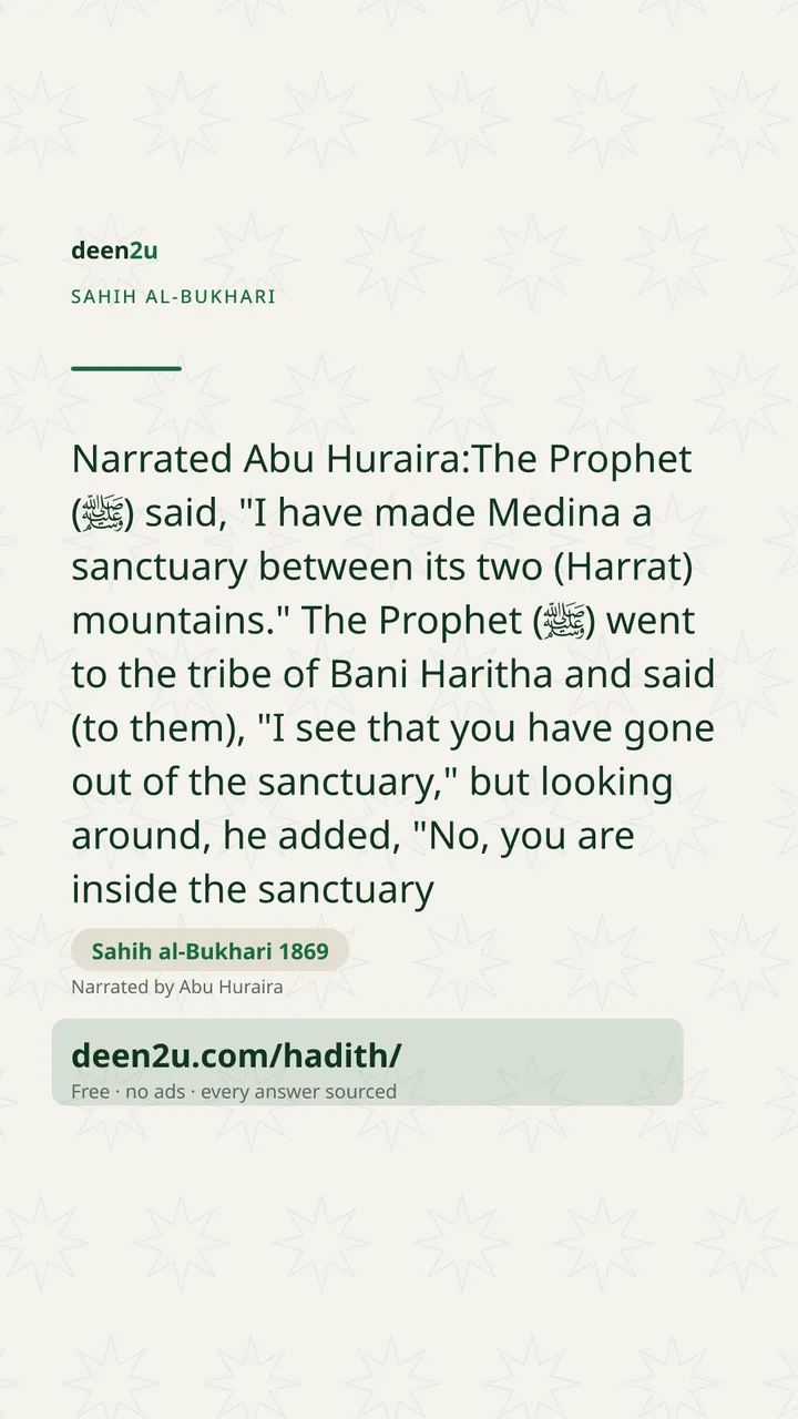 Sahih al-Bukhari 1869