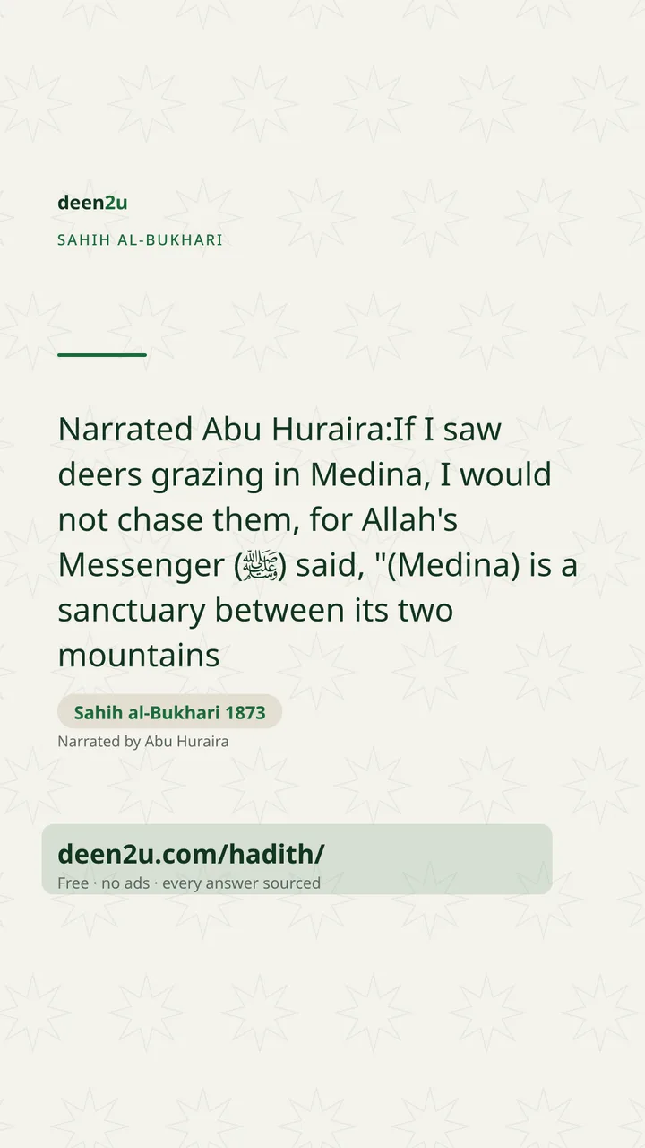 Sahih al-Bukhari 1873