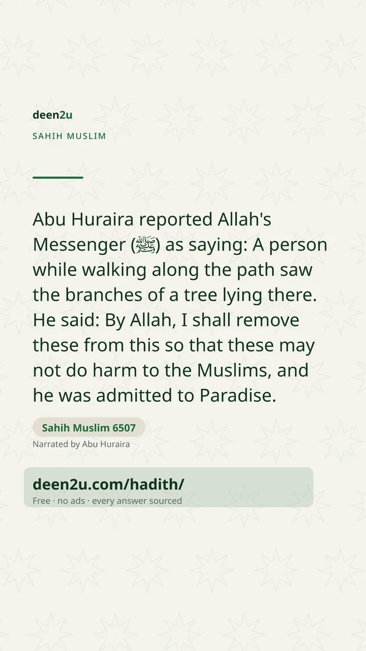 Sahih Muslim 6507