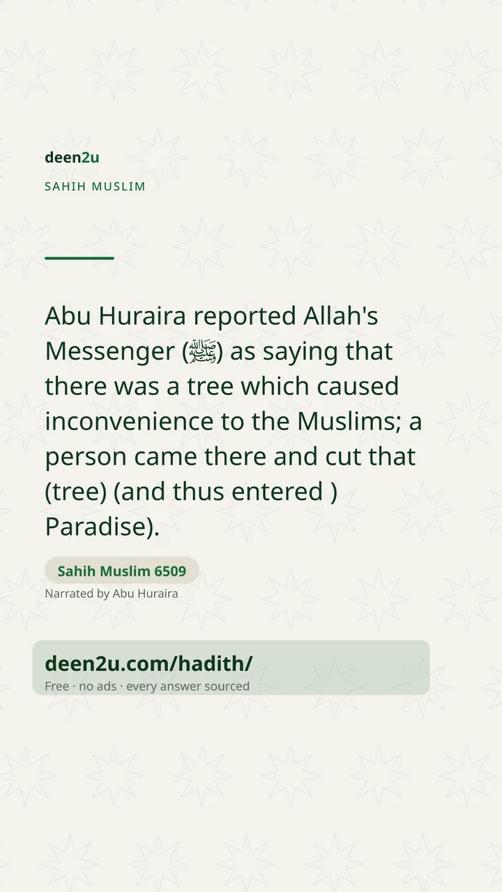 Sahih Muslim 6509