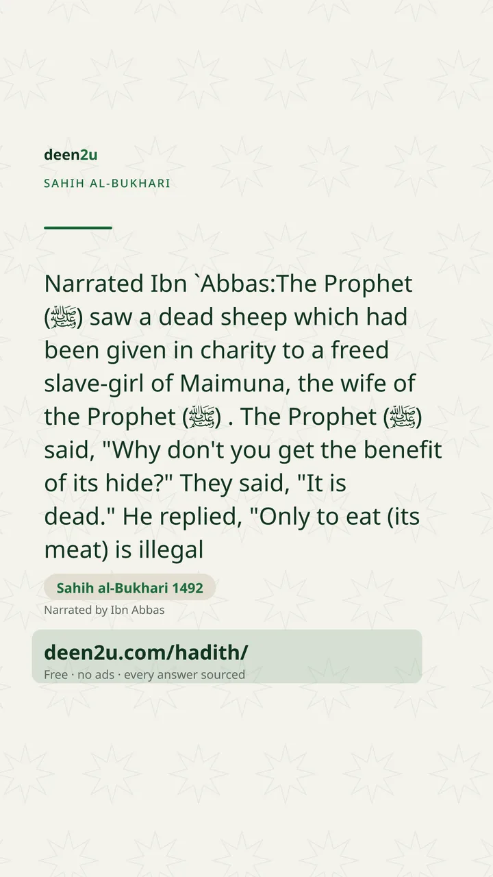 Sahih al-Bukhari 1492