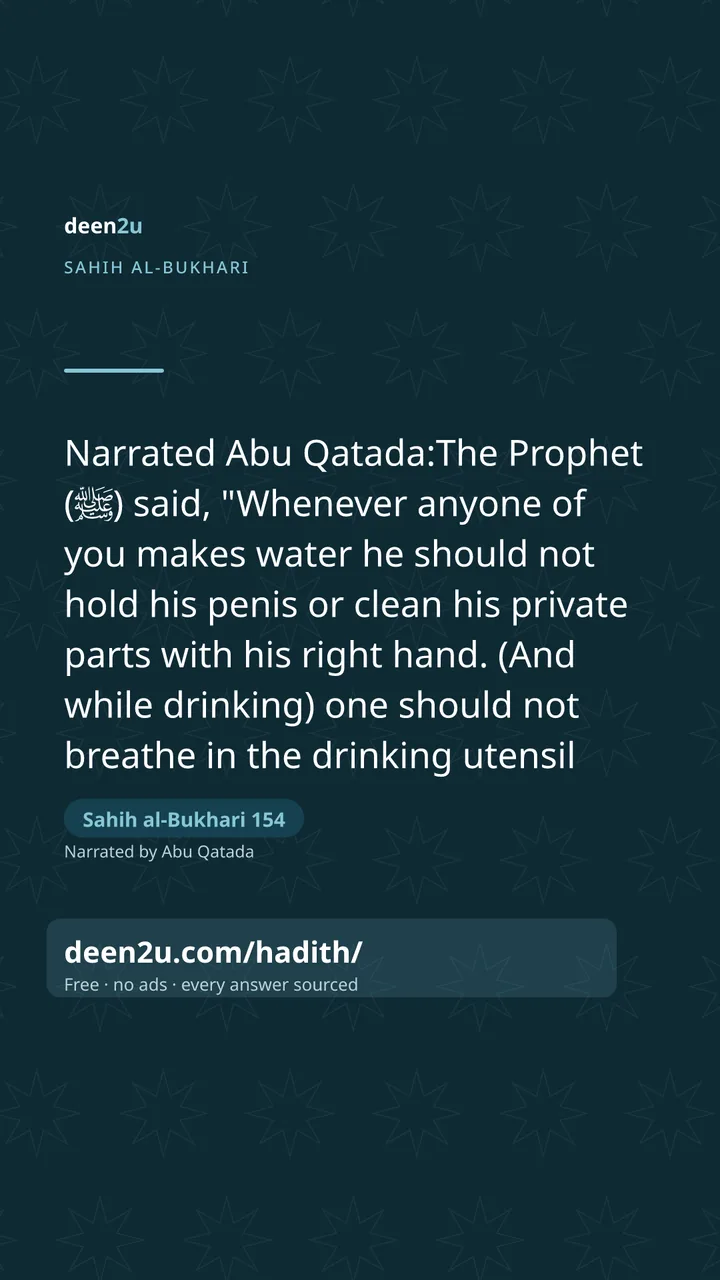 Sahih al-Bukhari 154