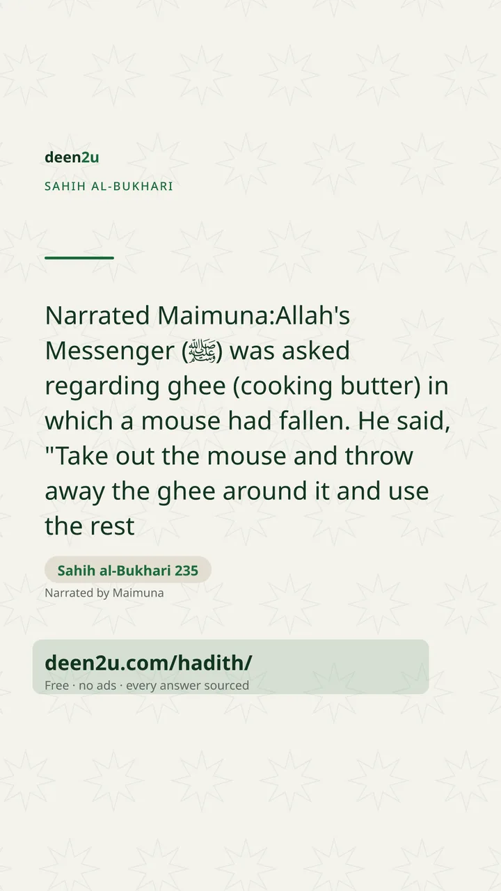 Sahih al-Bukhari 235