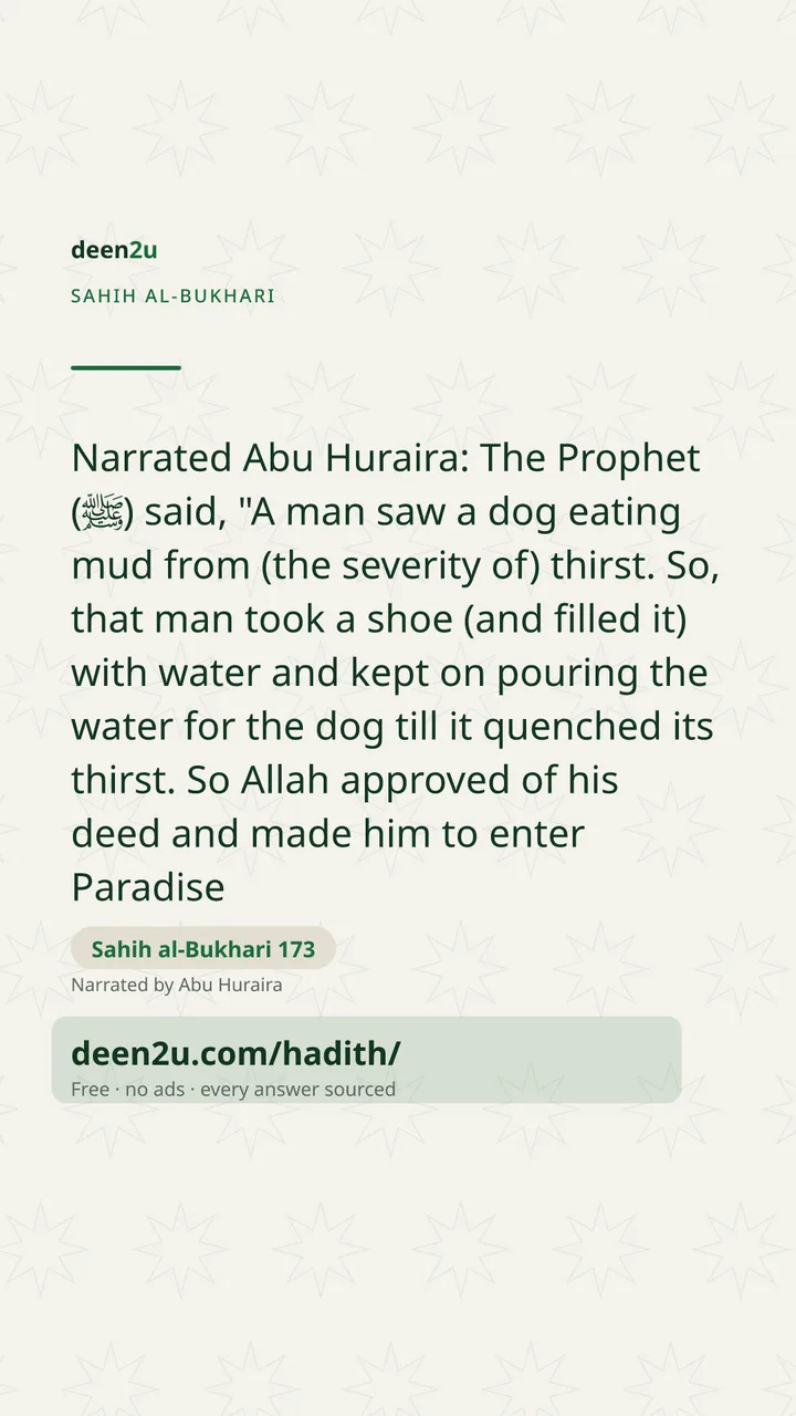 Sahih al-Bukhari 173