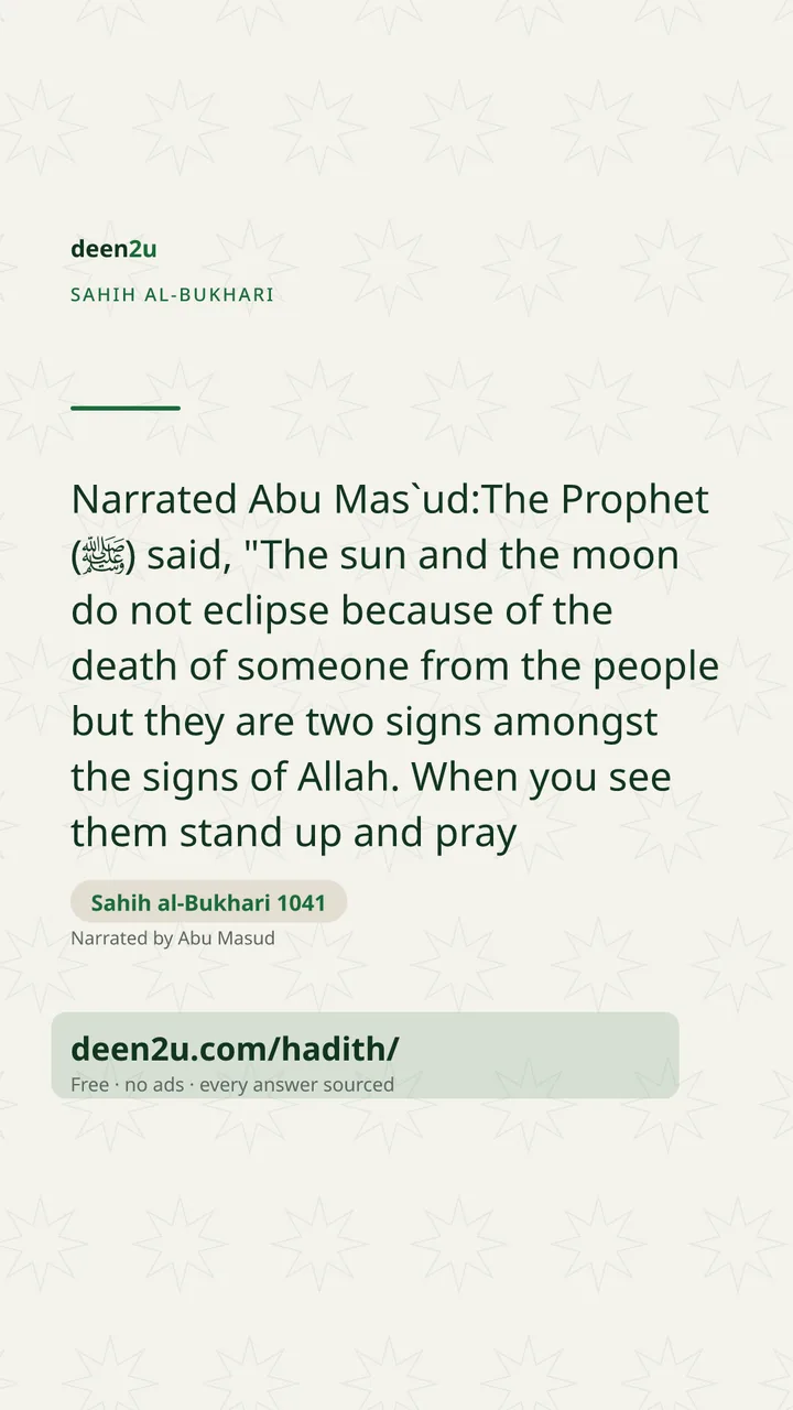 Sahih al-Bukhari 1041