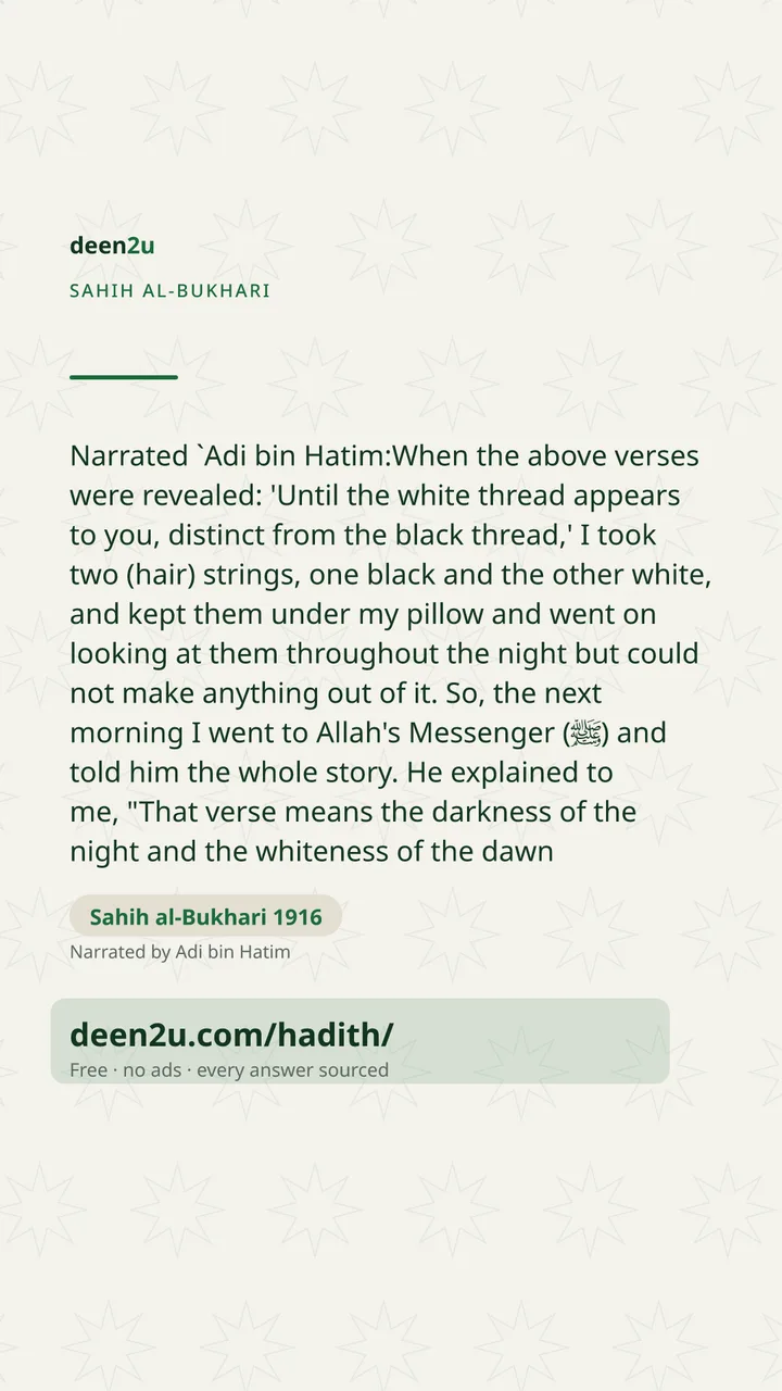 Sahih al-Bukhari 1916