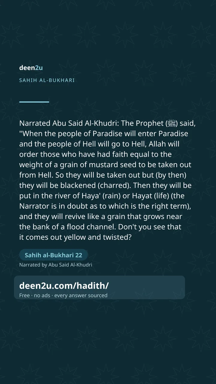 Sahih al-Bukhari 22