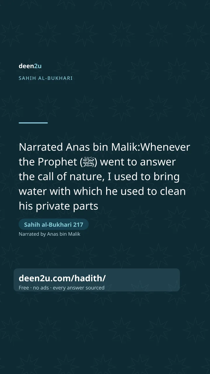Sahih al-Bukhari 217