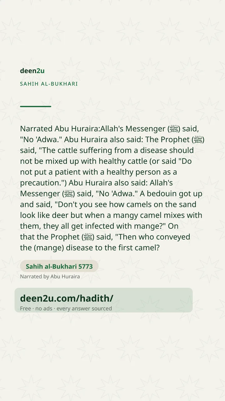 Sahih al-Bukhari 5773