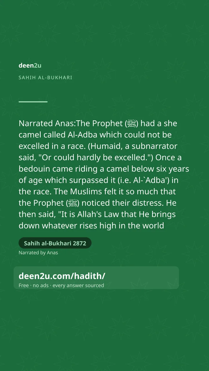 Sahih al-Bukhari 2872
