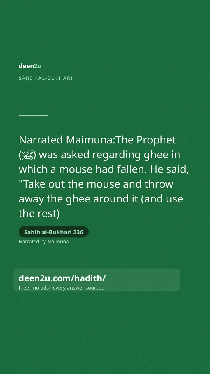 Sahih al-Bukhari 236