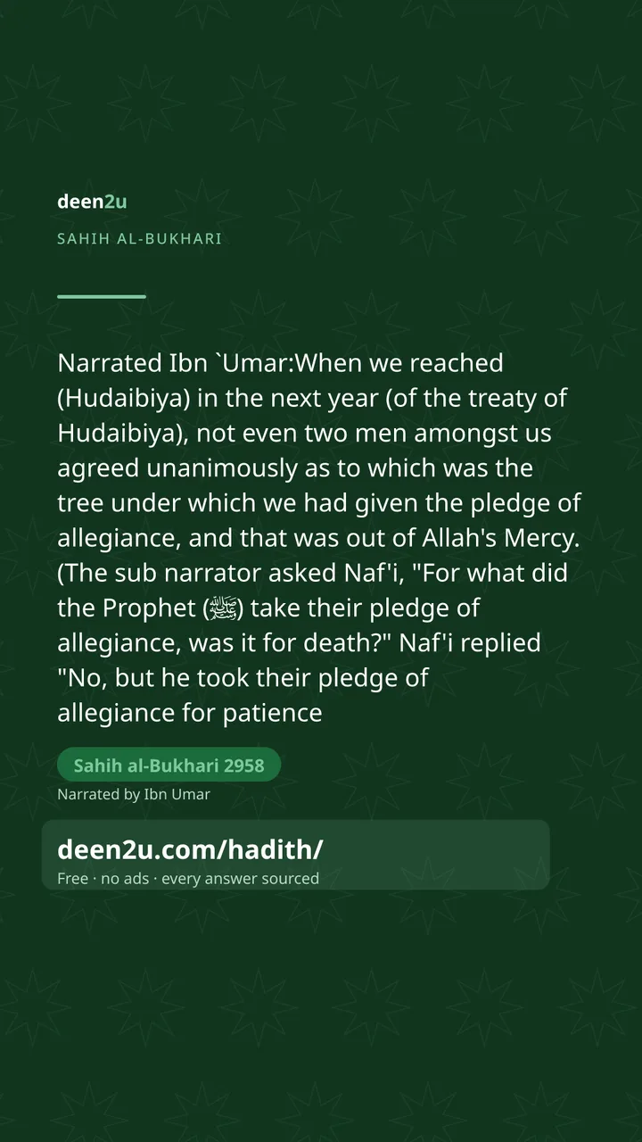 Sahih al-Bukhari 2958
