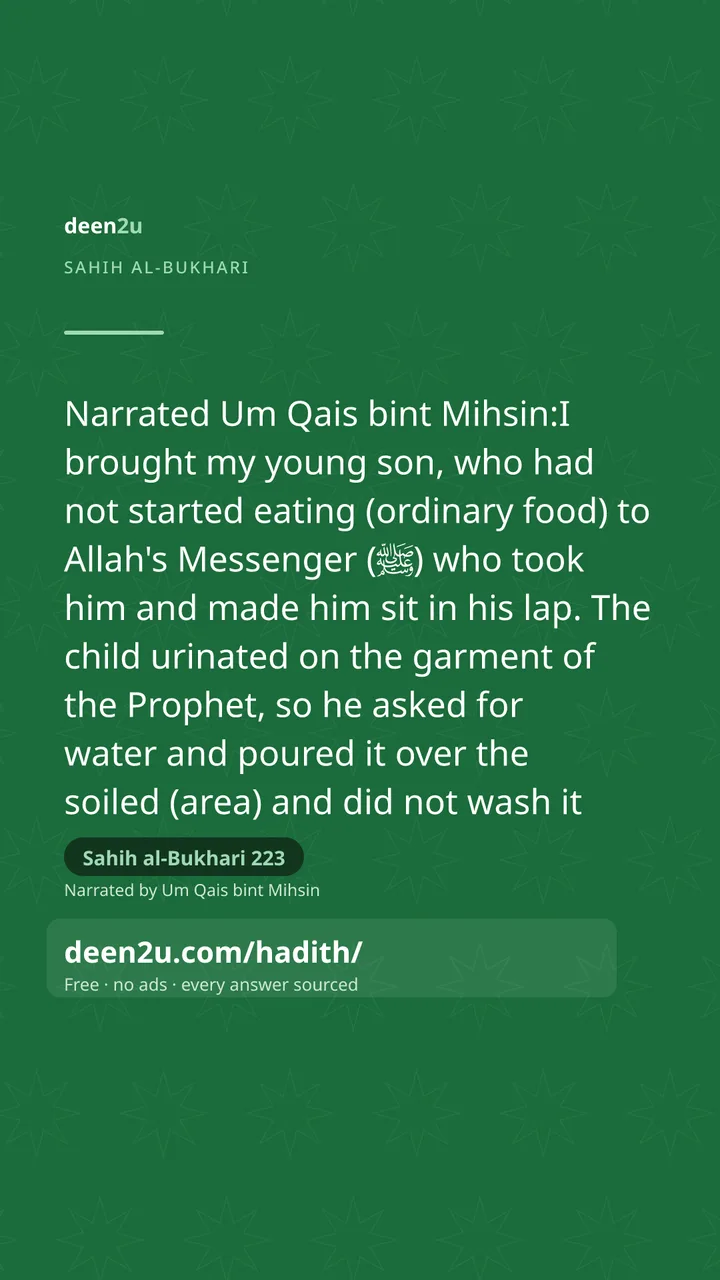 Sahih al-Bukhari 223