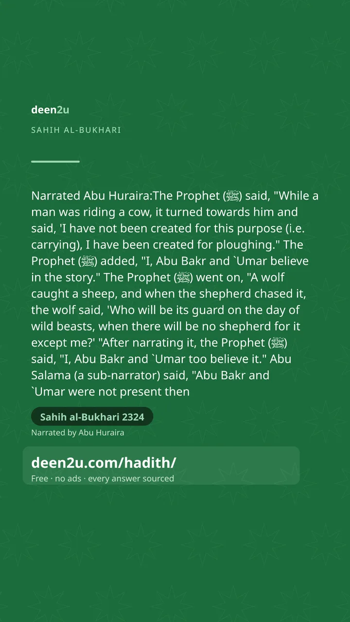 Sahih al-Bukhari 2324