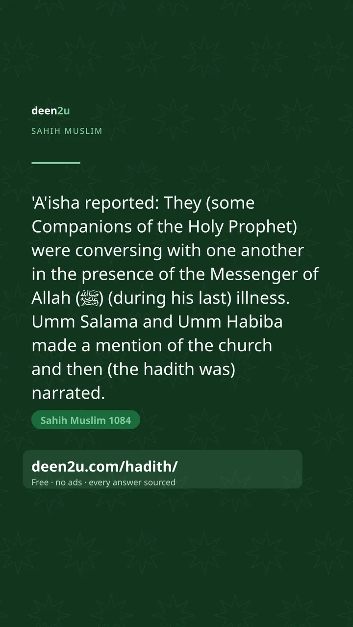 Sahih Muslim 1084