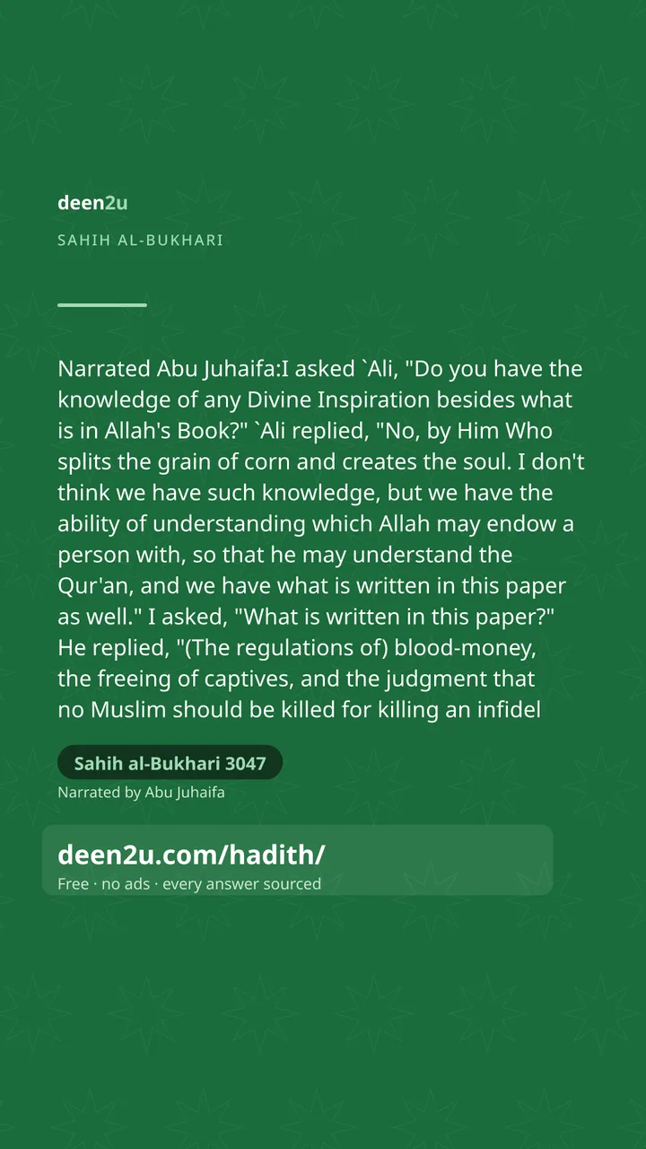 Sahih al-Bukhari 3047
