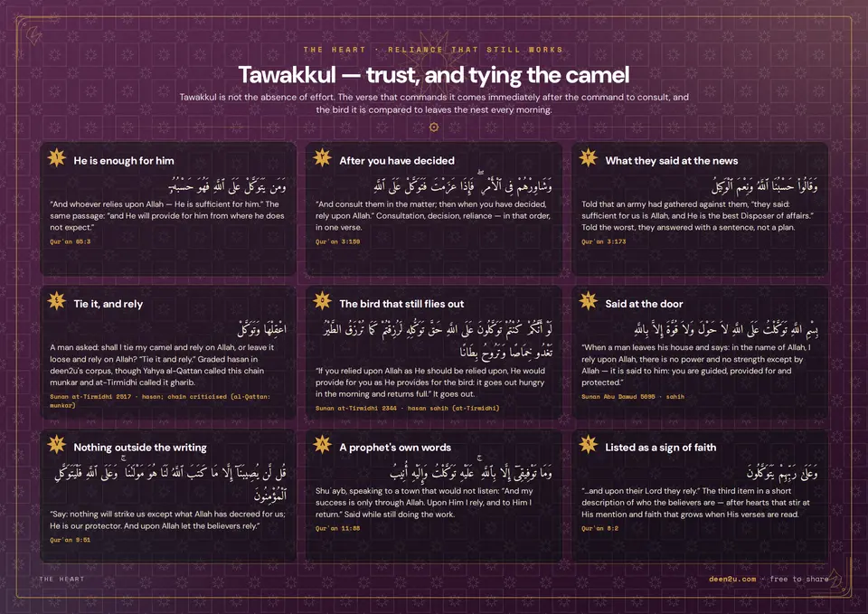 Tawakkul — trust, and tying the camel
