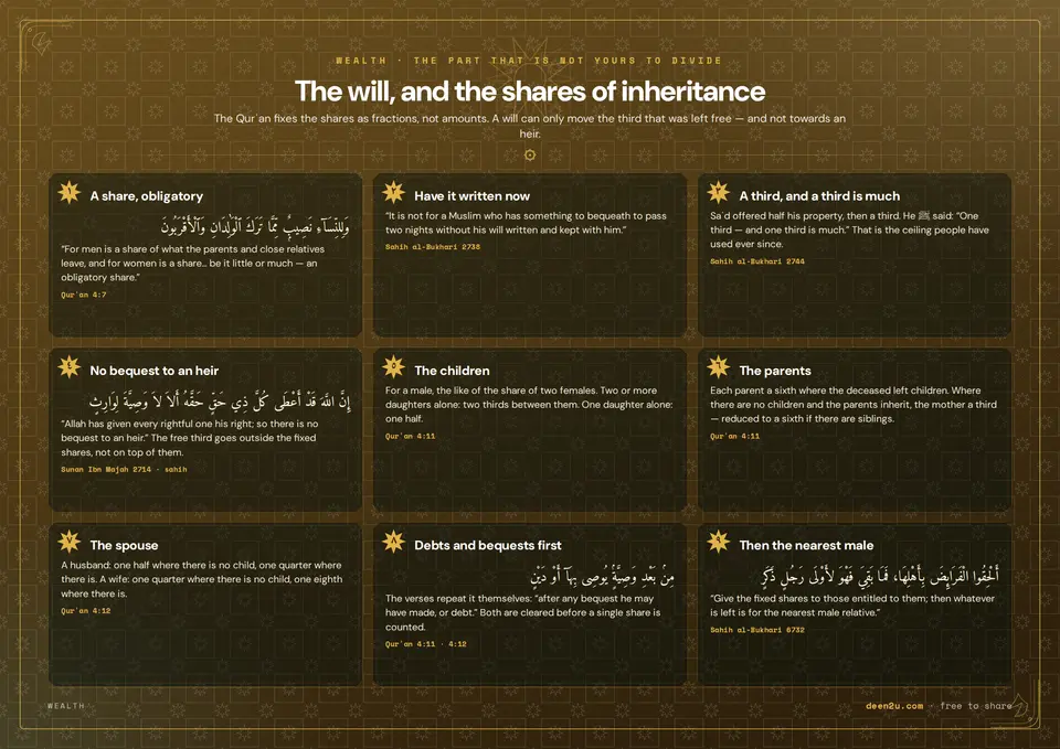 The will, and the shares of inheritance
