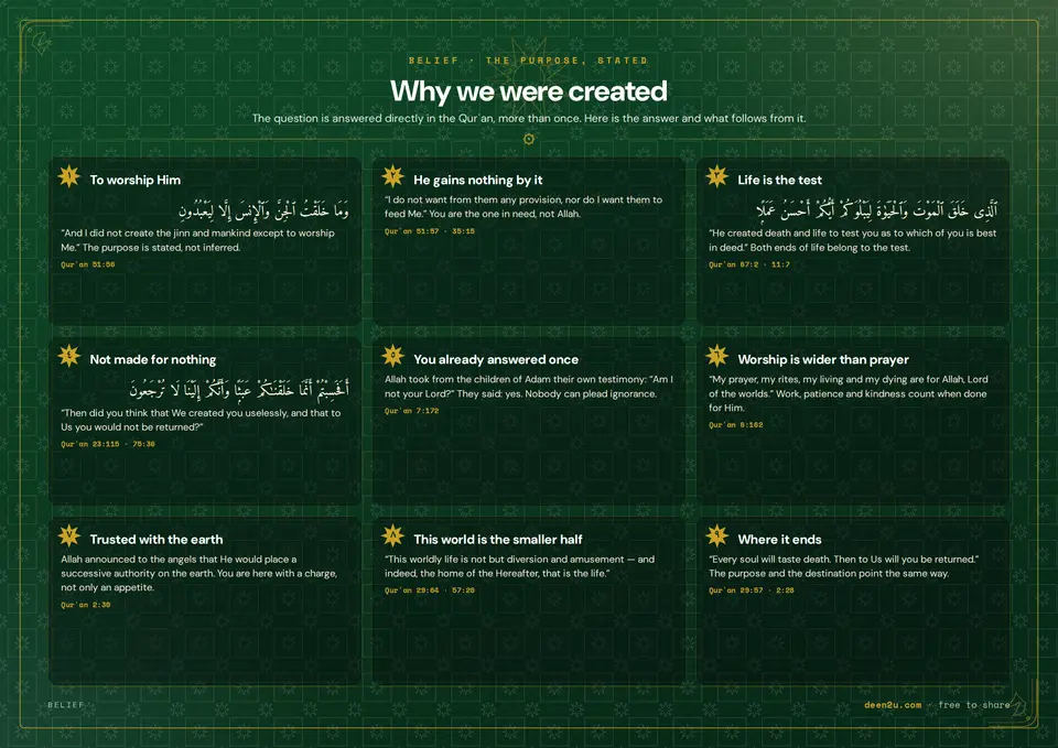Why we were created